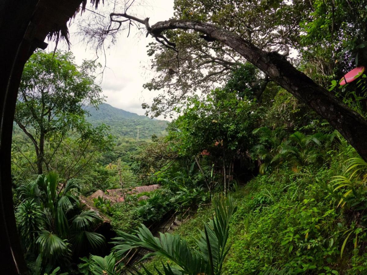Ecohostal Rio Piedra Эль-Саино Экстерьер фото