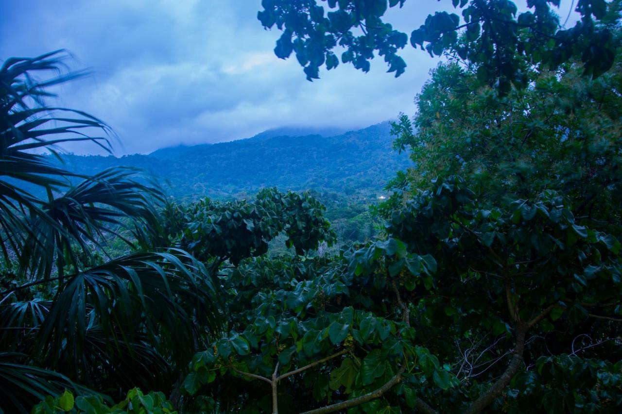 Ecohostal Rio Piedra Эль-Саино Экстерьер фото