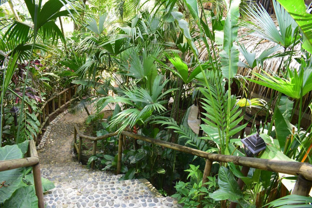 Ecohostal Rio Piedra Эль-Саино Экстерьер фото