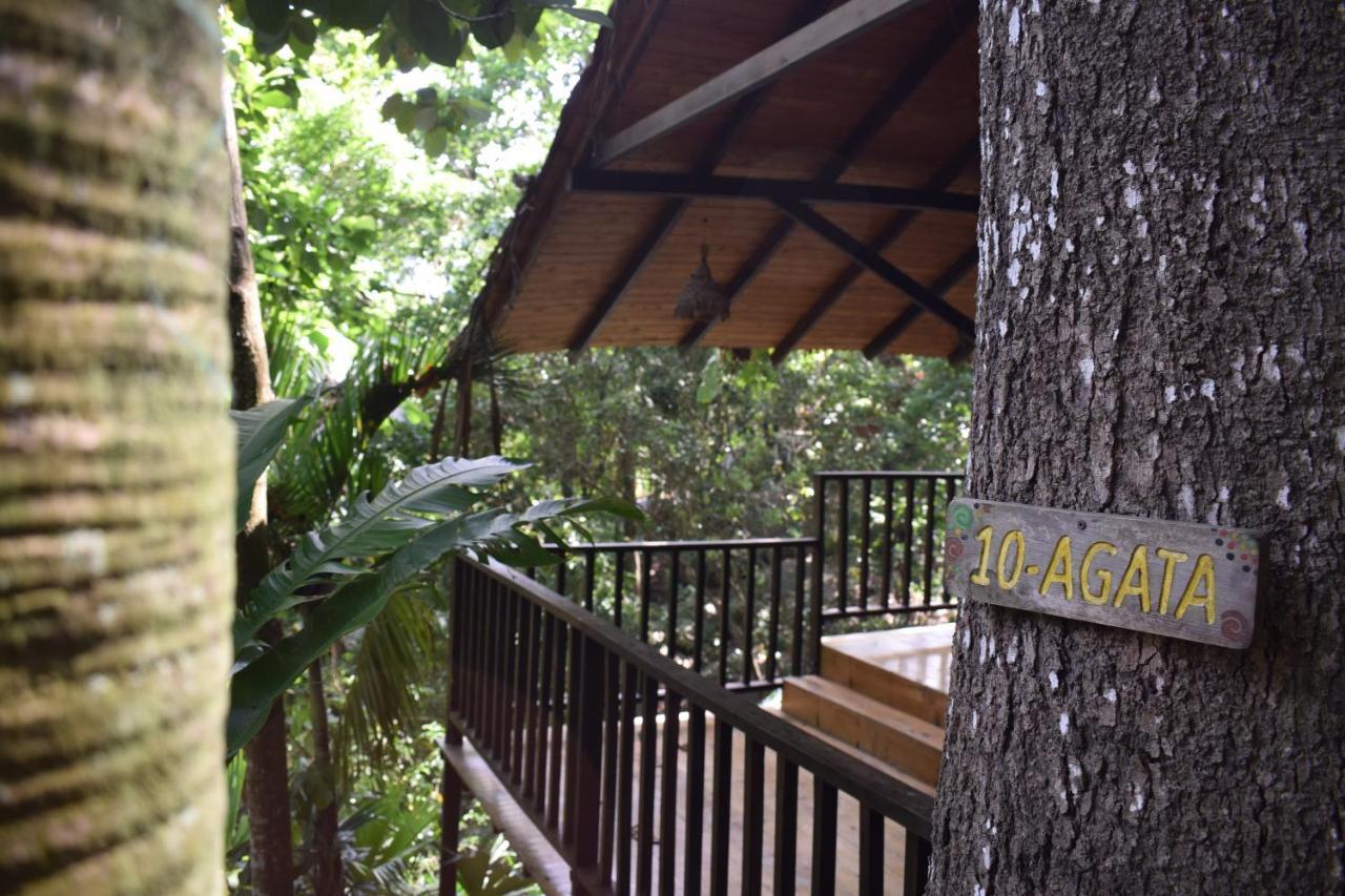 Ecohostal Rio Piedra Эль-Саино Экстерьер фото