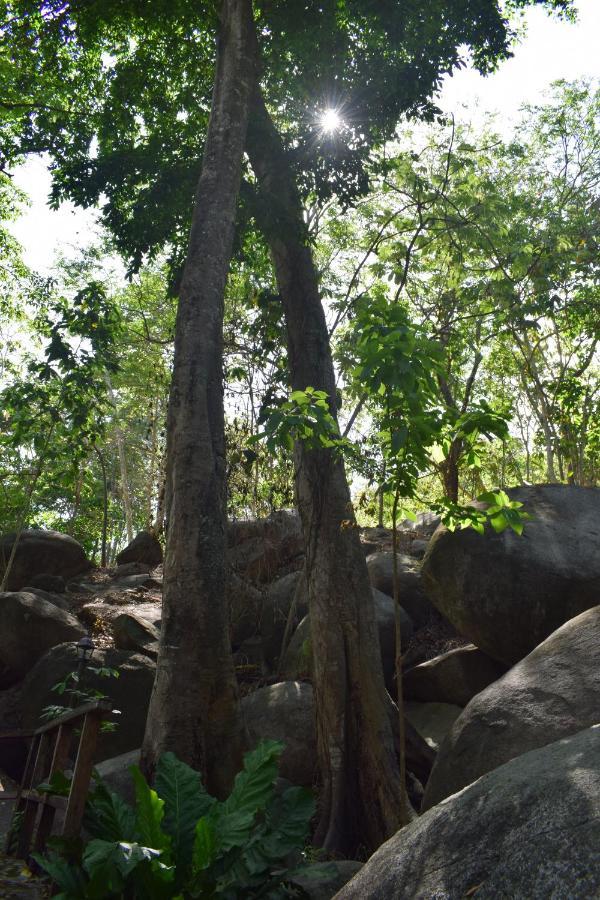 Ecohostal Rio Piedra Эль-Саино Экстерьер фото