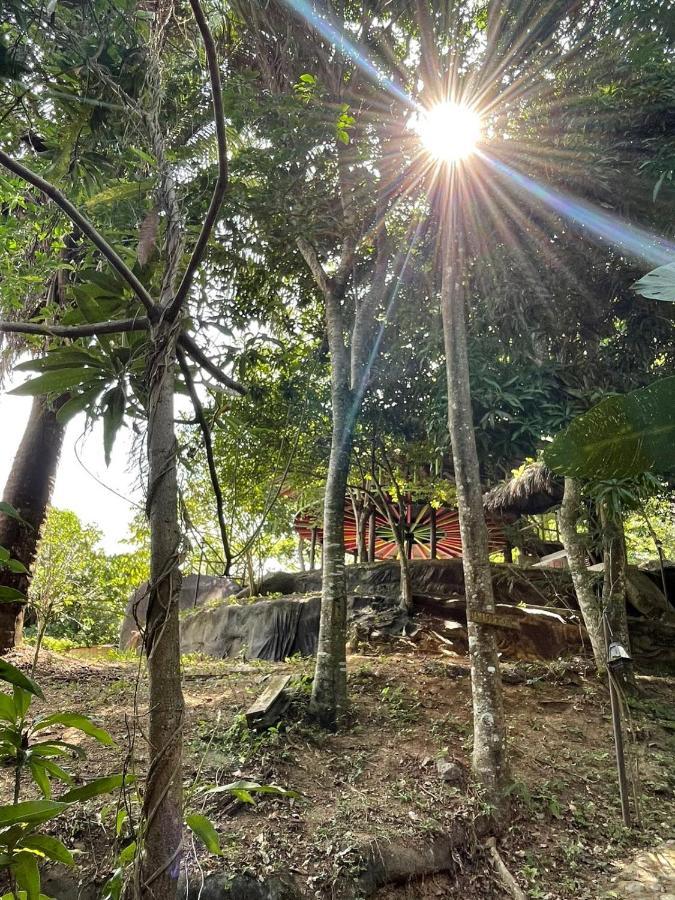 Ecohostal Rio Piedra Эль-Саино Экстерьер фото